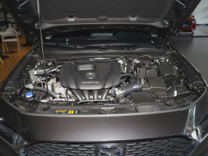 20211.5L Ԅ(dng)|(zh) l(f)(dng)C(j)