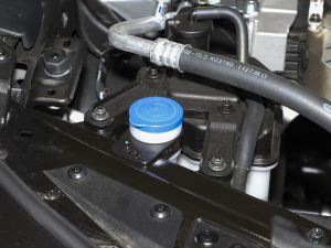 20211.5L Ԅ(dng)|(zh) 