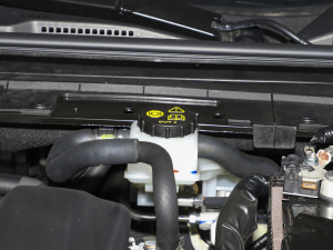 20211.5L Ԅ(dng)|(zh) 