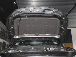 20211.5L Ԅ(dng)|(zh) 