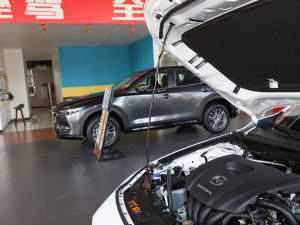 20211.5L Ԅ(dng)|(zh) 