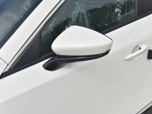 20211.5L Ԅ(dng)|(zh)Ͱ ҕR