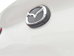 20211.5L Ԅ(dng)|(zh)Ͱ (x)(ji)^