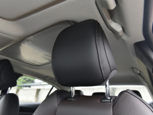 20211.5L Ԅ|(zh)Ͱ g