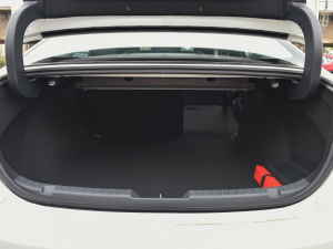 20211.5L Ԅ|(zh)Ͱ g