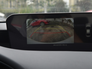 20211.5L Ԅ|Ͱ п؅^