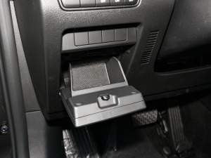 20212.0L Ԅ(dng)|(zh) g