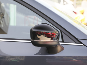 20212.0L Ԅ(dng)(q)Tʿ (x)(ji)^(gun)