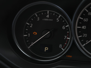 20212.0L ԄӃ(q)Tʿ п؅^(q)