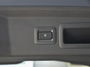 2021款2.0L 自动嘉悦型 空间座椅