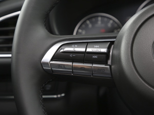 2021款2.0L 自动雅悦型 音响调节