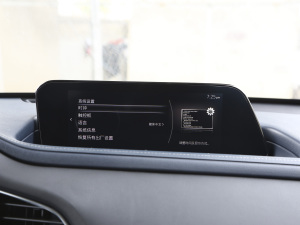 2021款2.0L 自动雅悦型 中控区