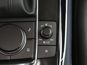 2021款2.0L 自动雅悦型 中控区