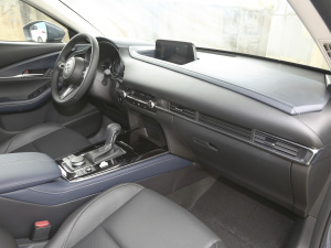 2021款2.0L 自动雅悦型 中控区