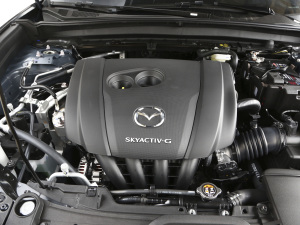 2021款2.0L 自动雅悦型 其它