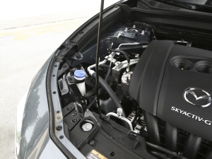 2021款2.0L 自动雅悦型 其它