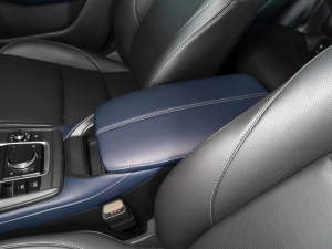 20212.0L Ԅ(dng)|(zh) 