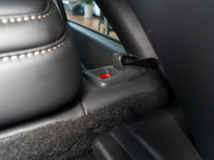 20212.0L Ԅ(dng)|(zh) g