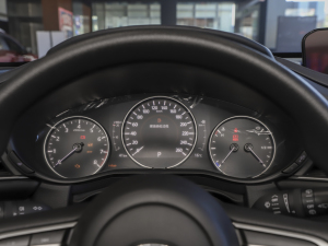2021款2.0L 自动尚悦型 仪表