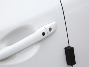 20222.5L ԄӃ(q) (x)(ji)^