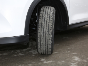 20222.5L ԄӃ(q) (x)(ji)^