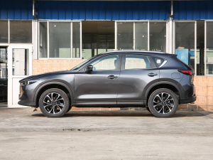 20222.5L ԄӃ(q)ǻ (c)