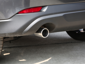 20222.5L ԄӃ(q)ǻ Ś