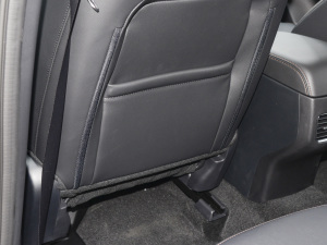 20222.5L Ԅ(dng)(q)ҫ g