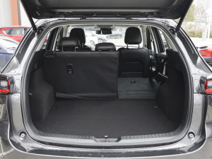 20222.5L Ԅ(dng)(q)ҫ g