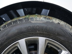 20221.5L Ԅ|Ͱ ݆̥Ʒ