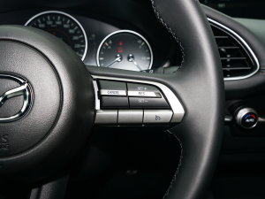 20221.5L Ԅ|Ͱ п؅^