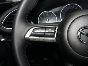 20221.5L Ԅ|Ͱ п؅^