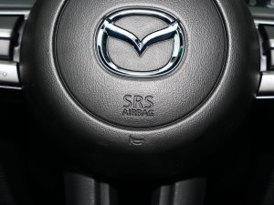 20221.5L Ԅ|Ͱ п؅^