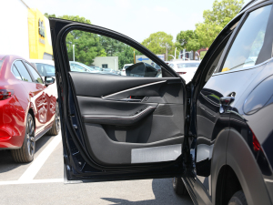 2022款2.0L 自动嘉悦型 驾驶位车门