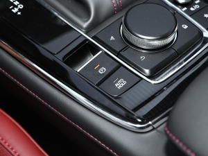 2022款2.0L 自动嘉悦型 驻车制动器
