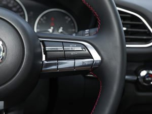 2022��2.0L �ԄӼΐ��� �п؅^