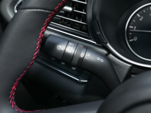 2022��2.0L �ԄӼΐ��� �п؅^