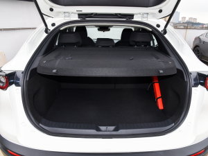 2022��2.0L �ք��А��� ���g����