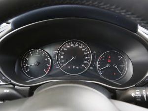 2022款2.0L 自动雅悦型 仪表