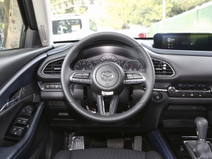2022款2.0L 自动雅悦型 方向盘
