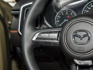 20232.5L Ԅа п؅^(q)