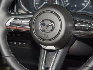 20232.5L Ԅа п؅^(q)