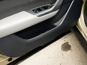 20232.5L ԄӐа ǰTg