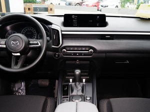 20232.5L Ԅ(dng)а п_(ti)