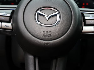 20232.5L ԄӐа п؅^