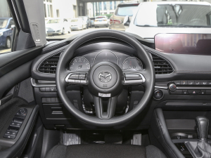 20232.0L Ԅ(dng)|(zh) P