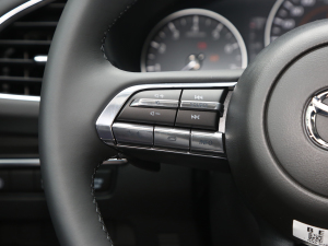 20232.0L Ԅ(dng)|(zh)Ű п؅^(q)