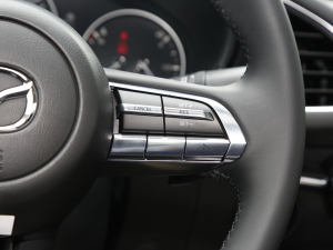 20232.0L Ԅ(dng)|(zh)Ű п؅^(q)