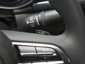 20232.0L Ԅ(dng)|(zh)Ű п؅^(q)