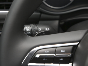 20232.0L Ԅ(dng)|(zh)Ű п؅^(q)